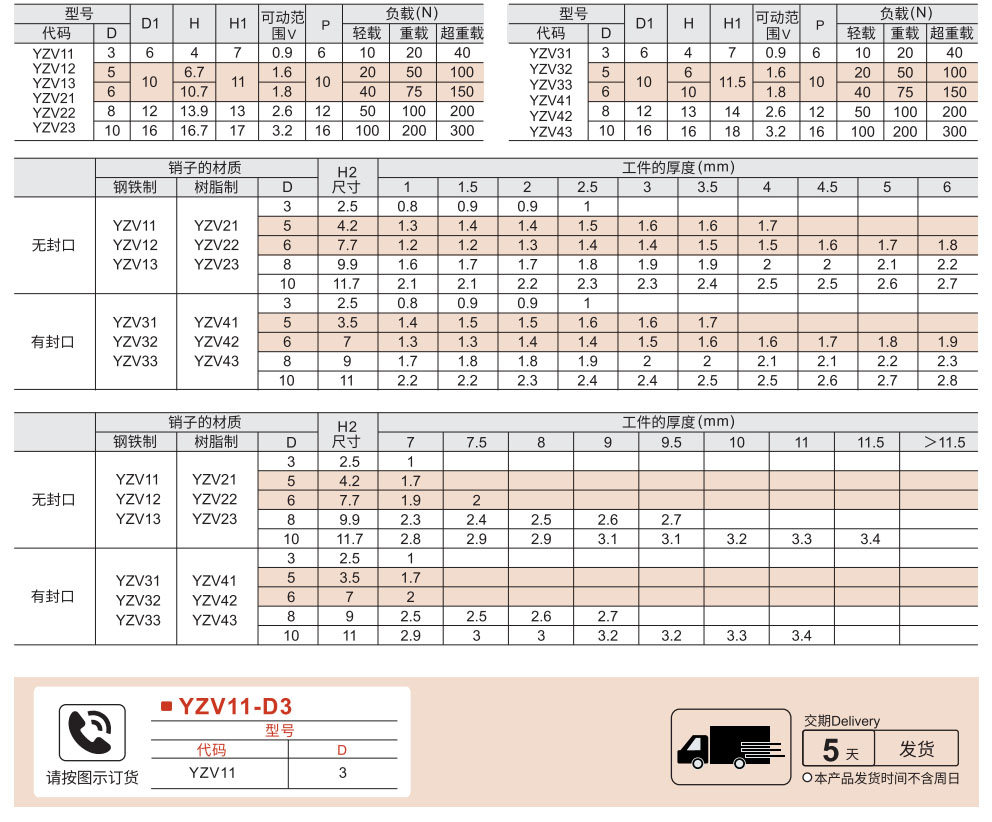 特别用途柱塞 侧向定位销参数图1