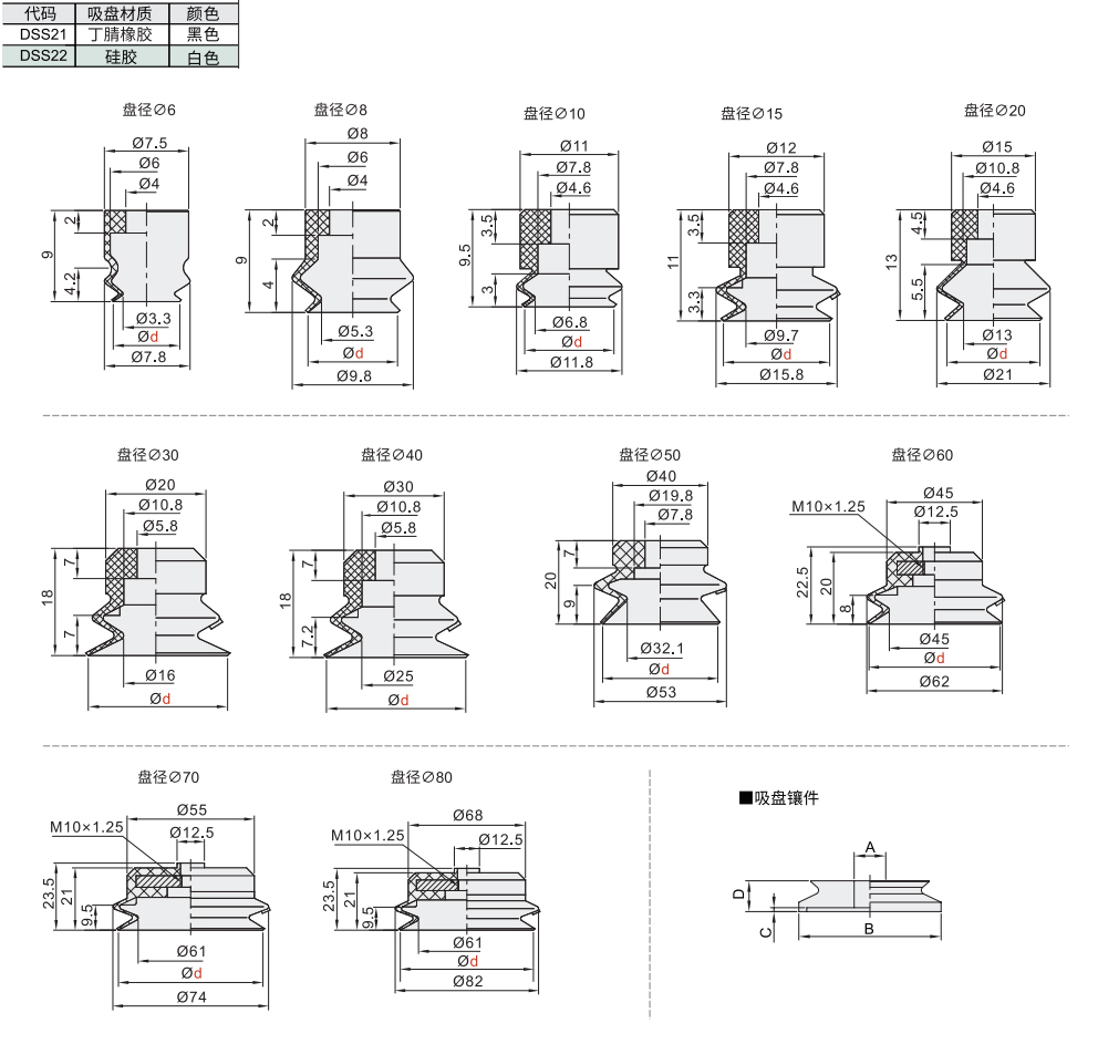 DSS21-1.jpg